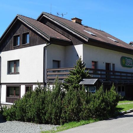 Pension Arnika Destne v Orlickych horach Buitenkant foto