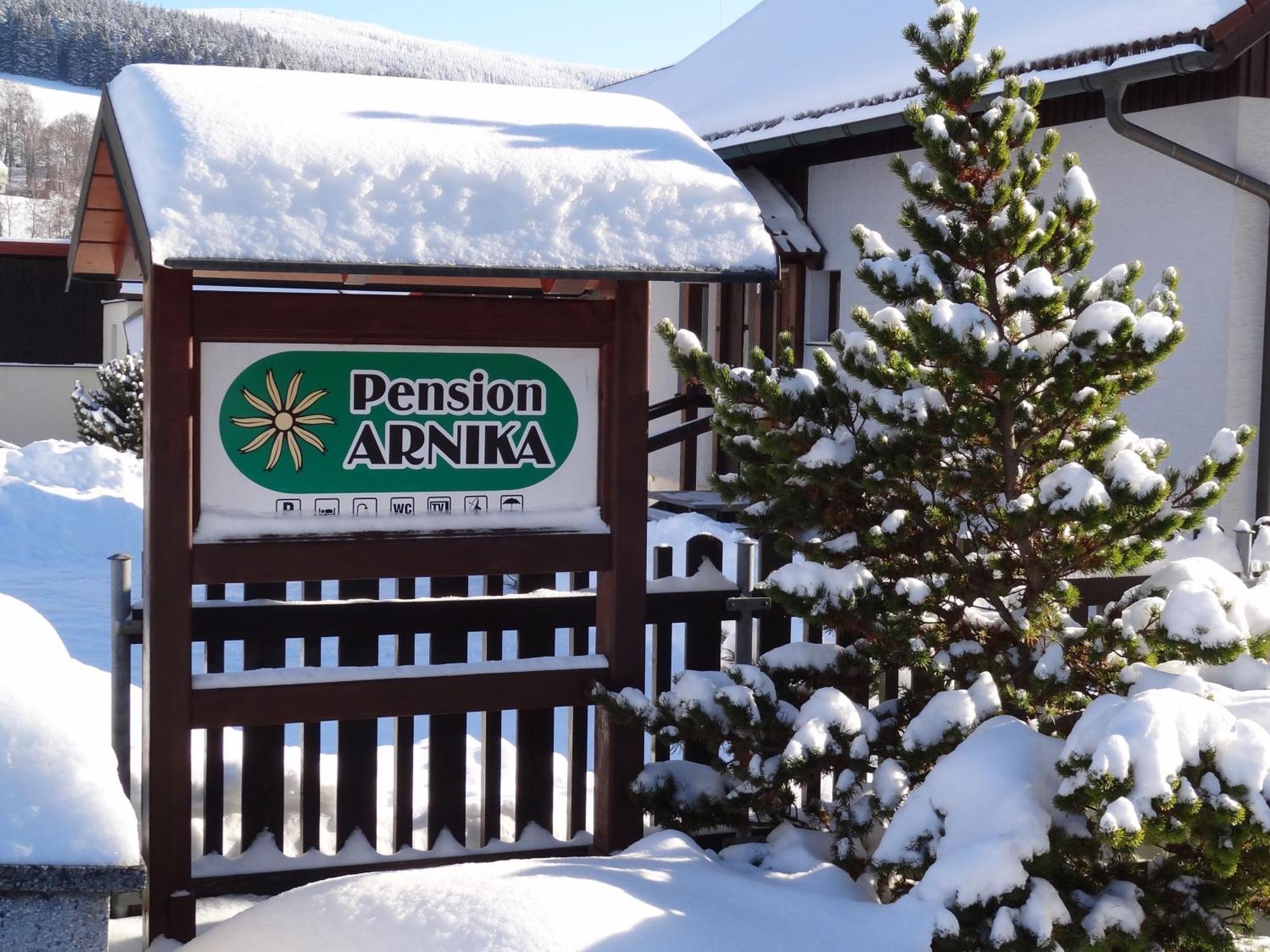 Pension Arnika Destne v Orlickych horach Buitenkant foto
