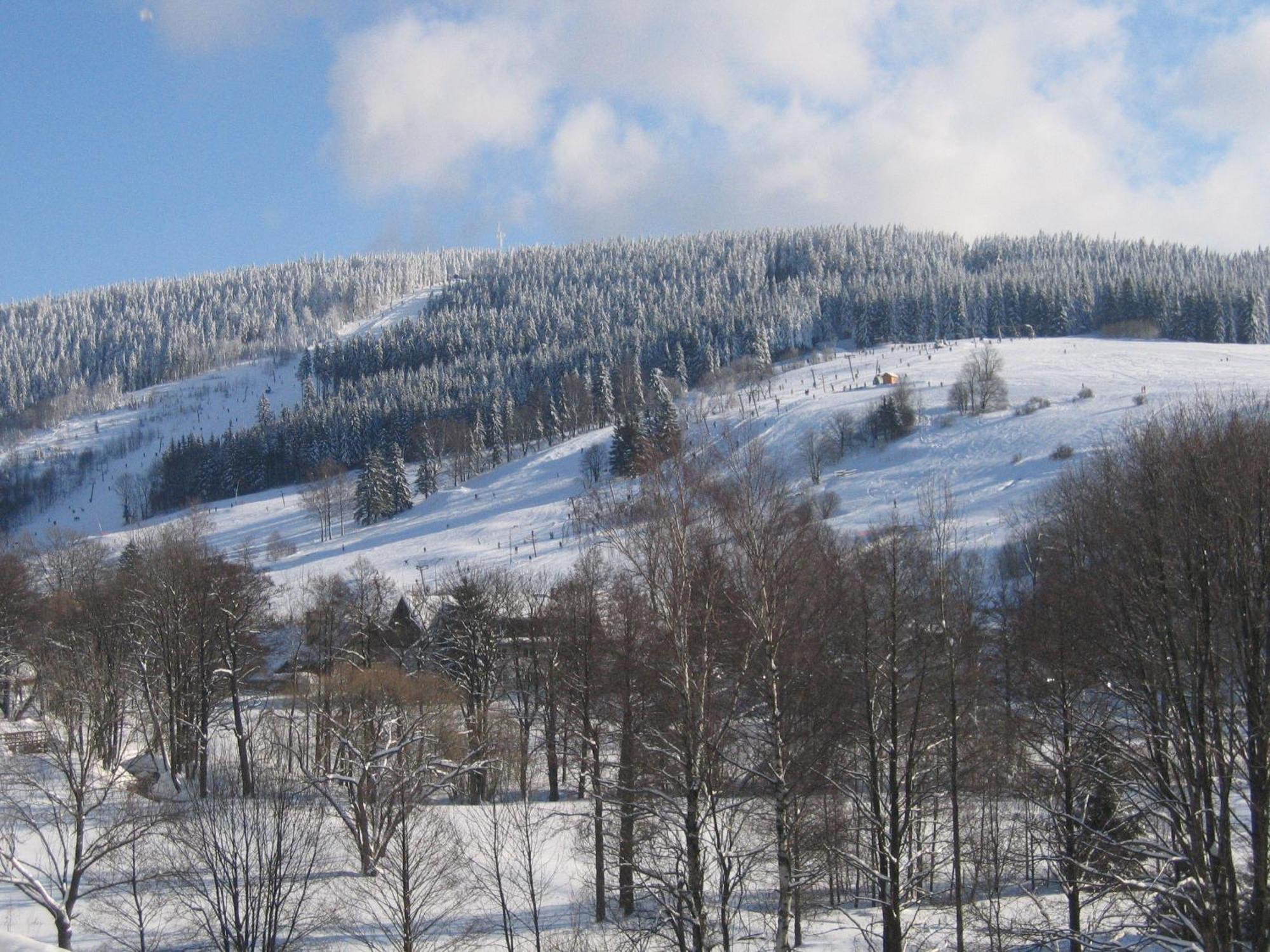 Pension Arnika Destne v Orlickych horach Buitenkant foto