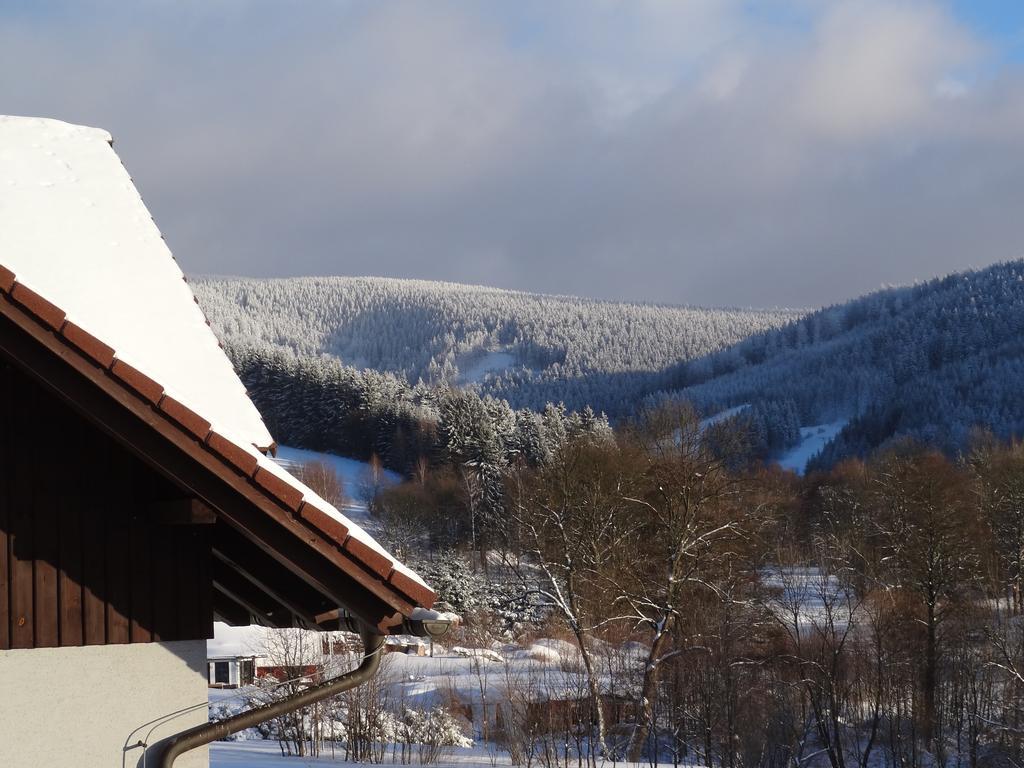 Pension Arnika Destne v Orlickych horach Buitenkant foto