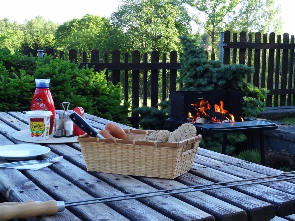 Pension Arnika Destne v Orlickych horach Buitenkant foto