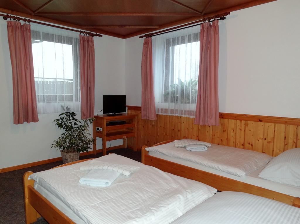 Pension Arnika Destne v Orlickych horach Buitenkant foto