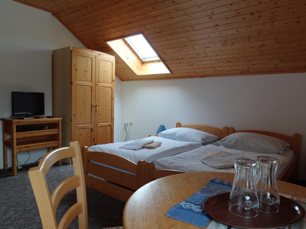 Pension Arnika Destne v Orlickych horach Buitenkant foto